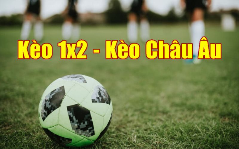 ca-do-keo-chau-au-giai-ma-cuoc-1x2-hap-dan-nhat-tai-nha-cai-2